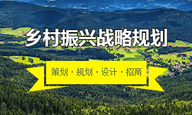 乡村振兴战略规划